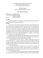 phân tích những nguyên nhân thất bại của Tổng Công ty PROJ đề xuất một số hướng cải thiện tình hình