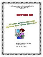 CHUYÊN đề sử DỤNG sơ đồ PHÂN LOẠI và HÌNH ẢNH TRONG GIẢNG dạy  