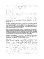 Hệ thống quan điểm lý luận về chủ nghĩa xã hội và con đường đi lên chủ nghĩa xã hội ở Việt Nam