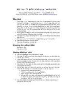 Bài tập lớn môn cơ sở mạng thông tin 