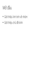 Bài giảng Lịch sử của vật liệu kính