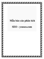 Mẫu báo cáo phân tích SEO   yeuseo com 