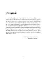 Đồ án rơle Đ6 ĐH Điện Lực