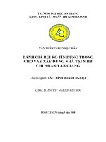 ĐÁNH GIÁ rủi RO tín DỤNG TRONG CHO VAY xây DỰNG NHÀ tại NGÂN HÀNG PHÁT TRIỂN NHÀ ĐỒNG BẰNG SÔNG cửu LONG CHI NHÁNH AN GIANG 