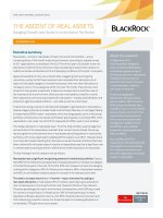 Executive summary the ascent of real assets 