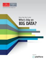 Whos big on big data 