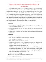 Hướng dẫn chẩn đoán và điều trị sỏi trong gan ngoài gan