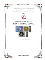 hướng làm dẫn báo cáo  thực hành hóa sinh thực phẩm
