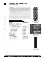 Ethernet data connectivity glide cable manager
