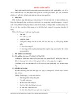 Chữa bệnh bướu giáp nhân