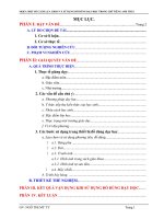 SKKN một số CÁCH lựa CHỌN và sử DỤNG đồ DÙNG dạy học TRONG GIỜ TIẾNG ANH THCS 