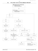 Ung thư cổ tử cung trong thai kì