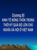 BÀI 12 KINH tế NÔNG THÔN TRONG THỜI kỳ QUÁ độ lên CHỦ NGHĨA xã hội ở VIỆT NAM 