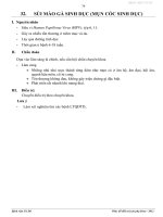 Điều trị sùi mào gà sinh dục