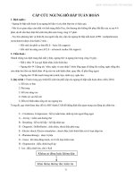 Cấp cứu ngưng hô hấp tuần hoàn