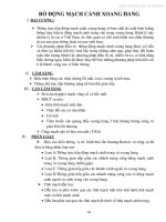 Điều trị rỗ động mạch cánh xoang