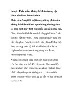 Snagit   phần mềm không thể thiếu trong việc chụp màn hình, biên tập ảnh 