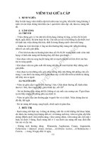 Trị bệnh viêm tai giữa cấp