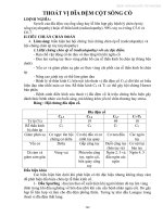 điều trị thoát vị đĩa đệm