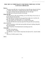 phác đồ can thiệp mạch vành trong nhồi máu cơ tim