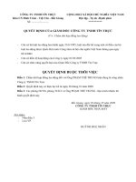 Mẫu văn bản quyết định 