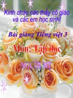 Bài giảng tiếng việt 3 tuần 4 bài tập đọc   người mẹ 3 
