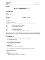 Mẫu đơn xin việc bằng tiếng anh   sitemanager 