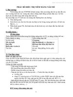 Phác đồ điều trị viêm màng não