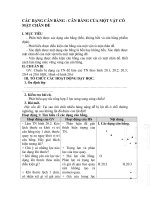 CÁC DẠNG cân BẰNG   cân BẰNG CỦA một vật CÓ mặt CHÂN đế 