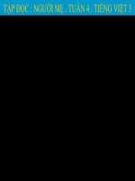 Bài giảng tiếng việt 3 tuần 4 bài tập đọc   người mẹ 2 