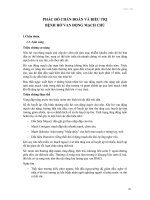 phác đồ điều trị hở van động mạch chủ