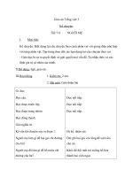 Giáo án tiếng việt 3 tuần 4 bài kể chuyện  người mẹ 5 