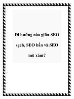 Đi hướng nào giữa SEO sạch, SEO bẩn và SEO mũ xám