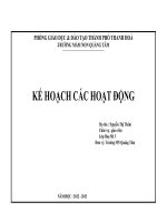 KẾ HOẠCH các HOẠT ĐỘNG 