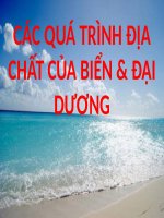 Bài thuyết trình các quá trình địa chất của biển và đại dương