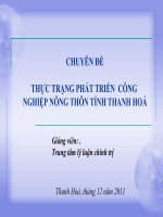 THỰC TRẠNG PHÁT TRIỂN  CÔNG NGHIỆP NÔNG THÔN TỈNH THANH HOÁ 