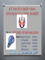 Báo cáo môn kỹ thuật chiếu sáng dân dụng và công nghiệp  giới thiệu về đèn halogen
