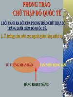 PHONG TRÀO  CHỮ THẬP đỏ QUỐC tế 