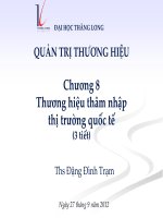 Bài giảng quản trị thương hiệu  chương 8   ths  đặng đình trạm