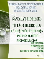 sản xuất biodiesel từ tảo chlorella, kỹ thuật nuôi cấy thu nhận lipid trên hệ thống photobioreactor