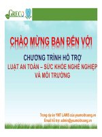 Hướng dẫn thực hiện luật thuế bảo vệ môi trường