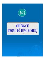 Bài giảng tố tụng hình sự   bài 3  chứng cứ trong tố tụng hình sự