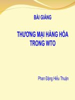 Bài giảng luật thương mại quốc tế  thương mại hàng hóa trong WTO   phan đặng hiếu thuận