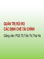 Bài giảng quản trị rủi ro các định chế tài chính  chương 2   PGS TS trần thị thái hà