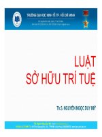 Bài giảng luật sở hữu trí tuệ   TS nguyễn ngọc duy mỹ