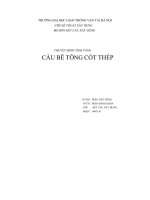 THUYẾT MINH TÍNH TOÁN cầu bê TÔNG cốt THÉP