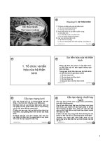 Bài giảng sinh học động vật  chương 2 1   nguyễn hữu trí