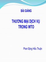 Bài giảng luật thương mại quốc tế  thương mại dịch vụ   phan đặng hiếu thuận