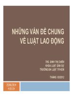 Bài giảng những vấn đề chung về luật lao động  chương 1   ths  đinh thị chiến