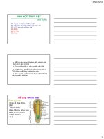 Bài giảng sinh học đại cương  chương 7   GV  nguyễn thành luân